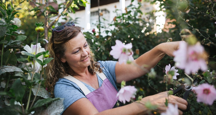 A woman pruning flowers